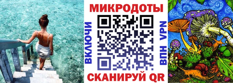 кракен маркетплейс  купить наркоту  Гвардейск  Галлюциногенные грибы Psilocybine cubensis 